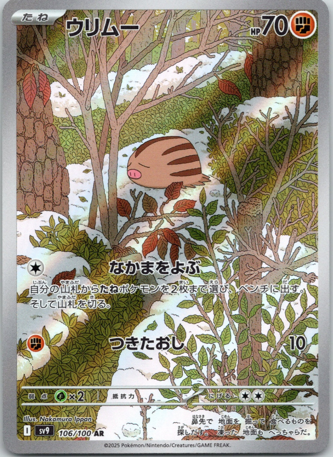 Swinub - 106/100 - Art Rare