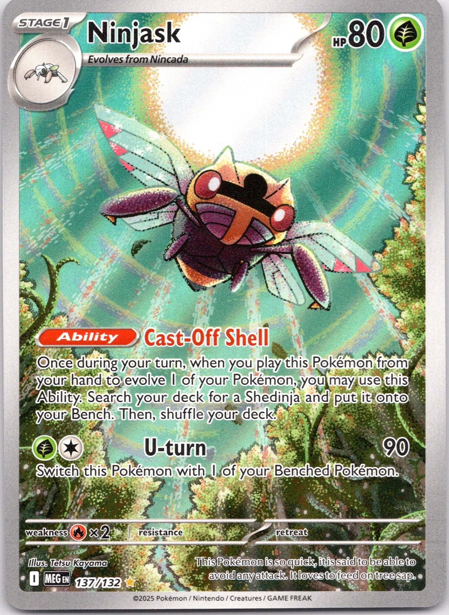 Ninjask - 137/132 - Illustration Rare
