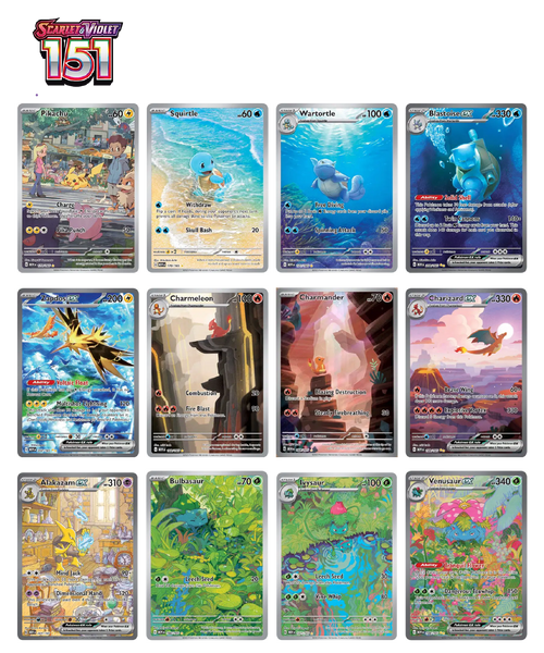 151 Mini Tin Display