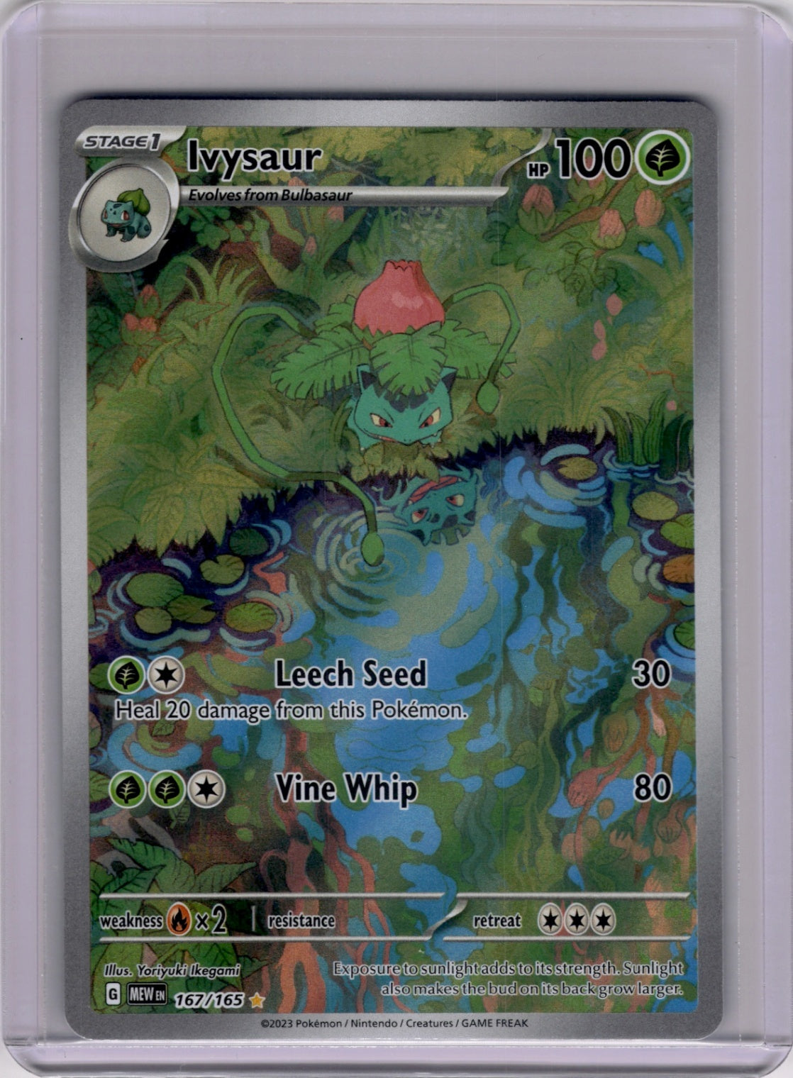 Ivysaur - - 167/165 - Illustration Rare