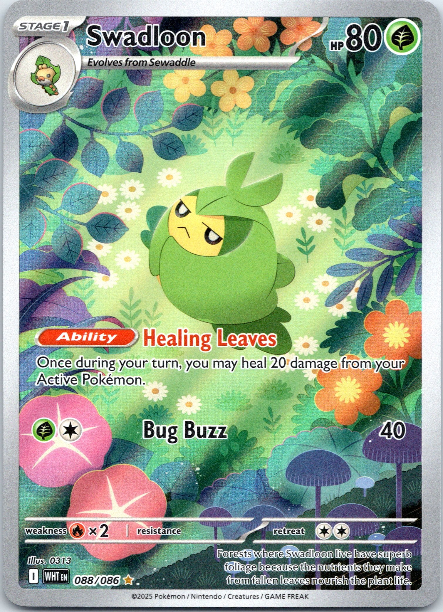 Swadloon - 088/086 - Illustration Rare