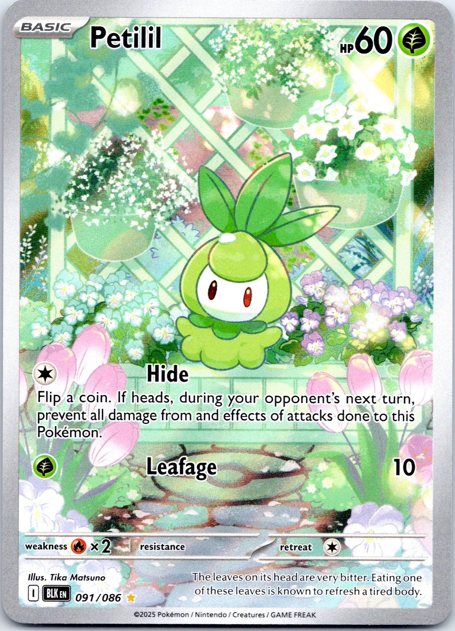 Petilil - 091/086 - Illustration Rare