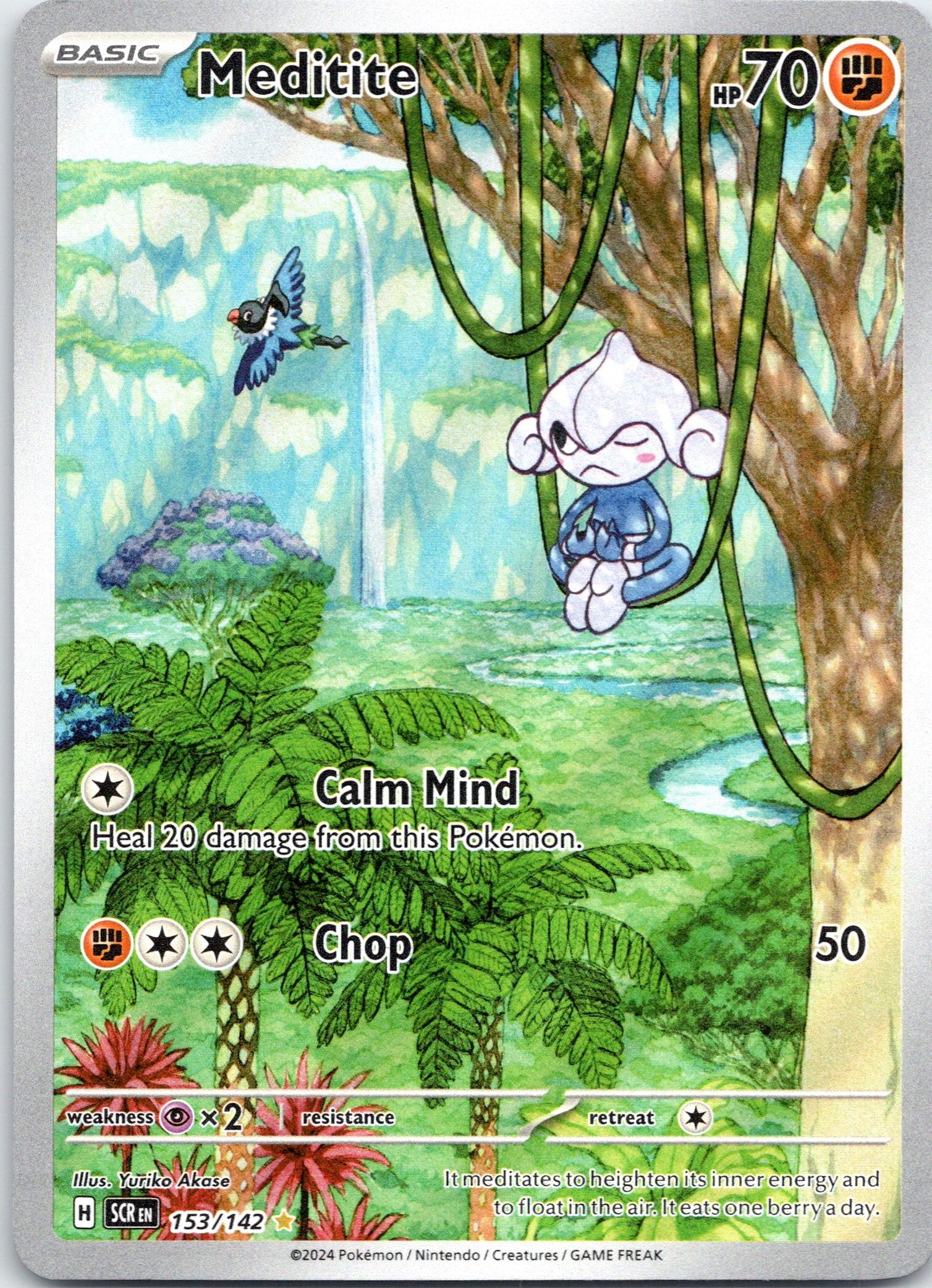 Meditite - 153/142 - Illustration Rare